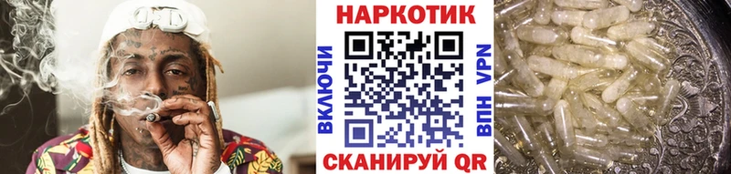 Виды наркотиков купить Ликино-Дулёво A-PVP  Кокаин  ГАШИШ  МЕФ  Марихуана 