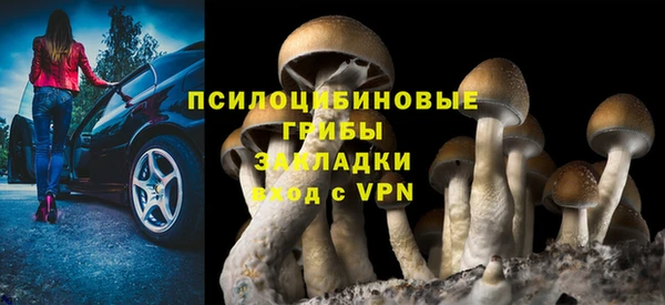 мдпв Балабаново