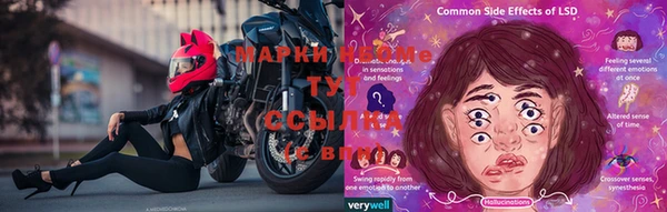 стафф Баксан