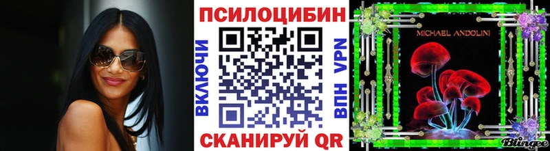 купить  цена  Ликино-Дулёво  Псилоцибиновые грибы Magic Shrooms 